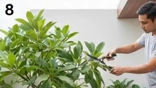 Rapikan Secara Berkala agar Tampilan Tetap Elegan