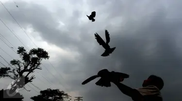 Anak-anak bermain burung merpati di bantaran Kanal Banjir Barat (KBB), Tanah Abang, Jakarta, Jumat (9/10). Terbatasnya ruang publik menyebabkan anak-anak tersebut terpaksa bermain di bantaran kanal. (Liputan6.com/Immanuel Antonius)