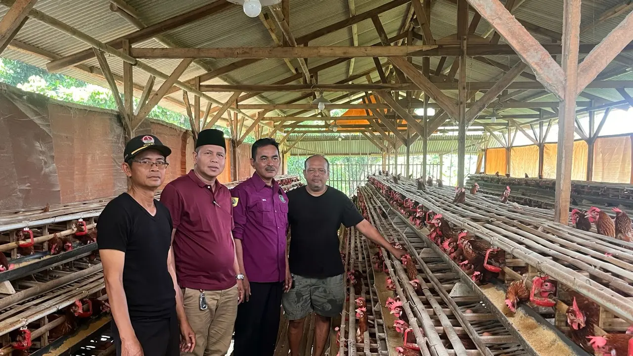 Kandang Ayam Petelur Desa Cikahuripan