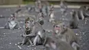 Kera memakan kacang sumbangan selama waktu makan di Sangeh Monkey Forest, Bali, pada 1 September 2021. Sepinya turis di Bali selama pandemi corona covid-19 membuat kawanan monyet di Sangeh Monkey Forest kelaparan dan mulai mendatangi pemukiman. (AP/Firdia Lisnawati)