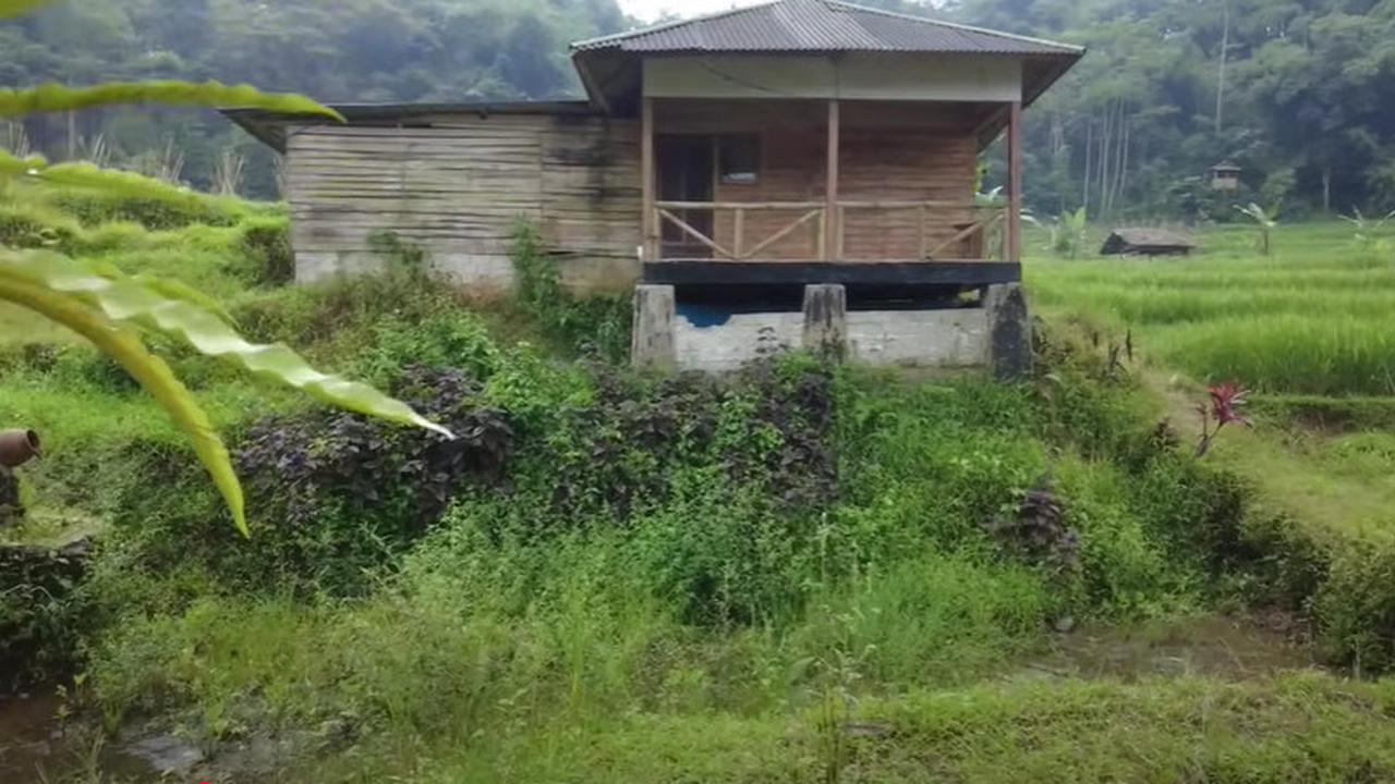 Damai dan Nyaman, Pegawai BUMN Pilih Hidup di Tengan Sawah Sambil Buka Warung Kopi