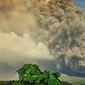 Gunung Semeru muntahkan awan panas guguran sejauh 7 km. (Dok BNPB)