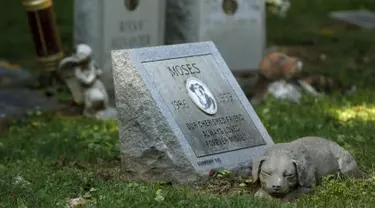 Sebuah nisan anjing untuk "Moses" terlihat di Memorial Park in Aspen Hill, Maryland, 25 Agustus 2015. Didirikan sejak tahun 1921, lebih dari 50.000 hewan dimakamkan di tempat ini. (REUTERS/Gary Cameron)