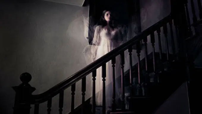 Photo copyright Shutterstock.com