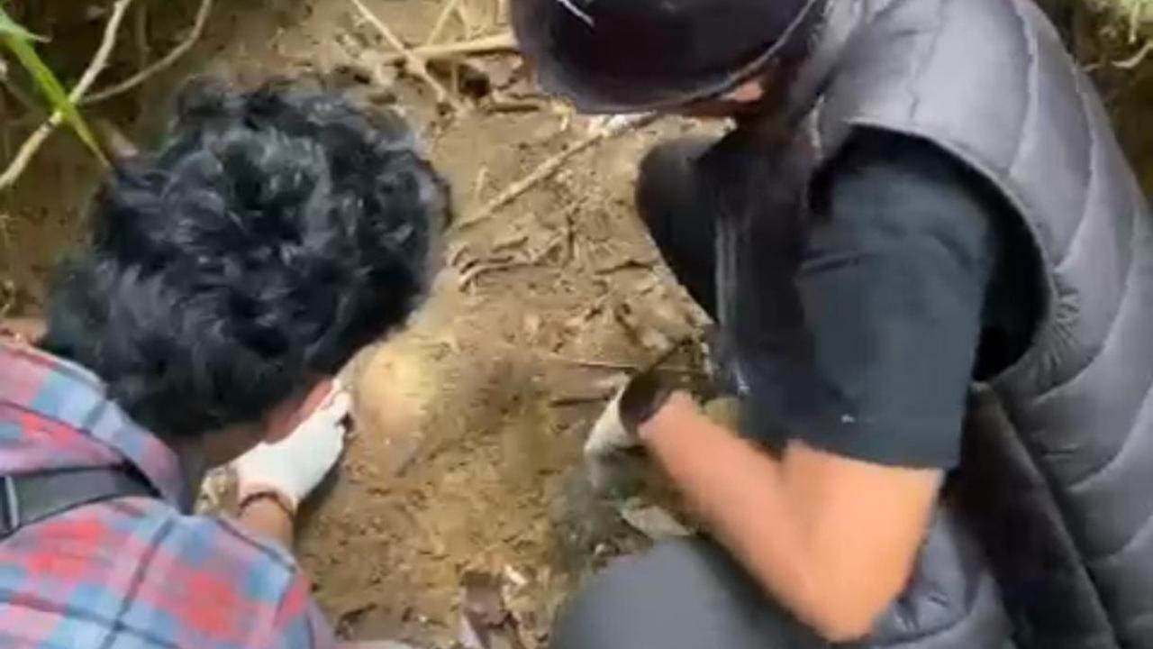 Kerangka Feni Ere