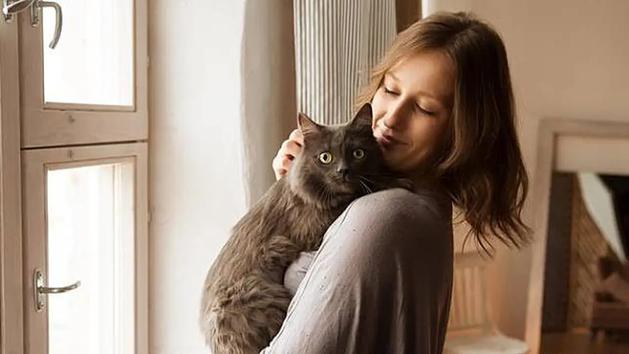 Mencintai Kucing