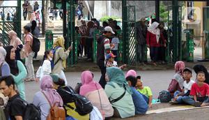 Bambang belum bisa memprediksi berapa jumlah total pengunjung sampai jam tutup operasional Taman Margasatwa Ragunan. Namun, ada kemungkinan jumlah pengunjung bisa dua kali lipat setelah pukul 12.00 WIB. (Liputan6.com/Herman Zakharia)