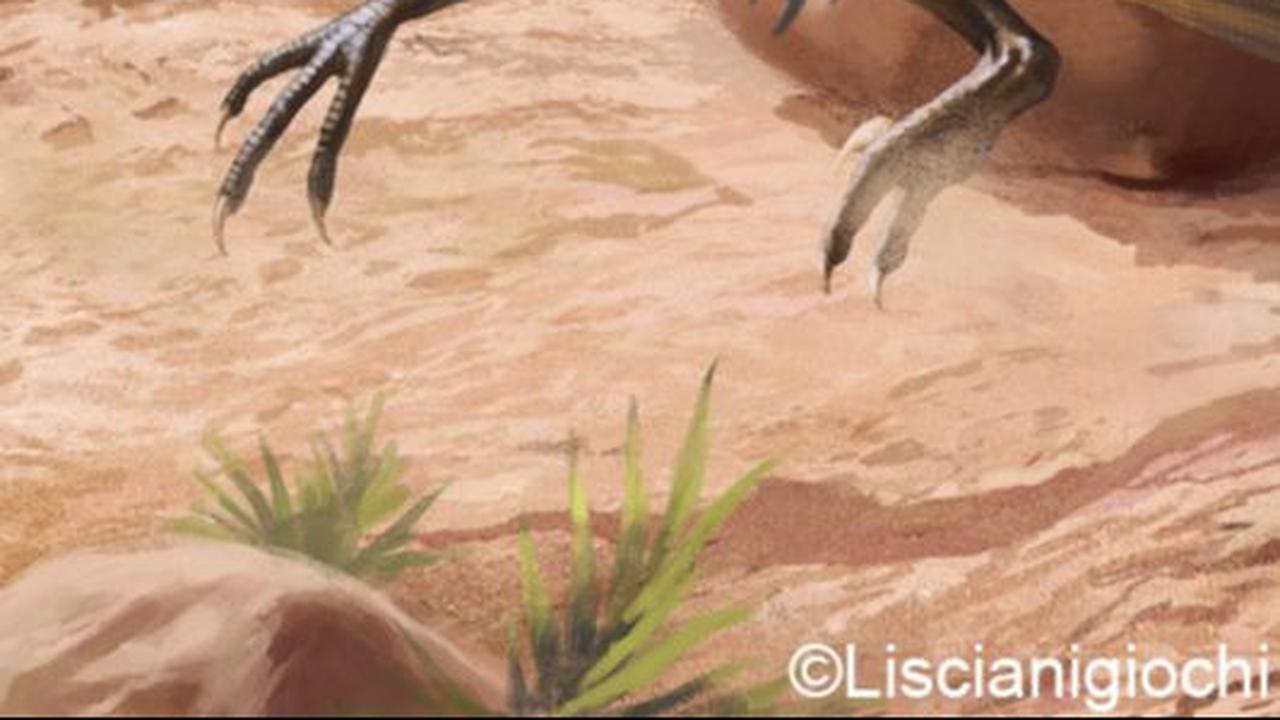 5. Ada Kemungkinan Velociraptor Menang dalam Kecepatan<br>