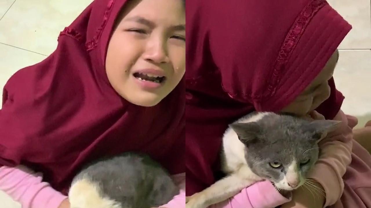 Pertemuan kucing dengan pemiliknya