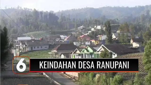 Masuk dalam nominasi 50 besar desa wisata terbaik se-Indonesia. Desa Wisata Ranupani, di Lumajang, Jawa Timur, mendapatkan perhatian khusus dari Menteri Pariwisata dan Ekonomi Kreatif, Sandiaga Salahuddin Uno.