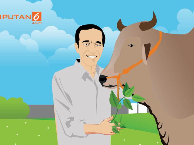 Ada Si Gundul Ini 7 Sapi Jumbo Kurban Idul Adha Dari Jokowi