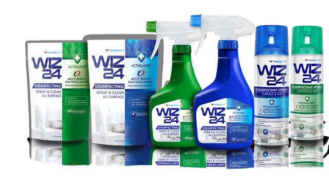 WIZ 24 Disinfectan Spray & Clean