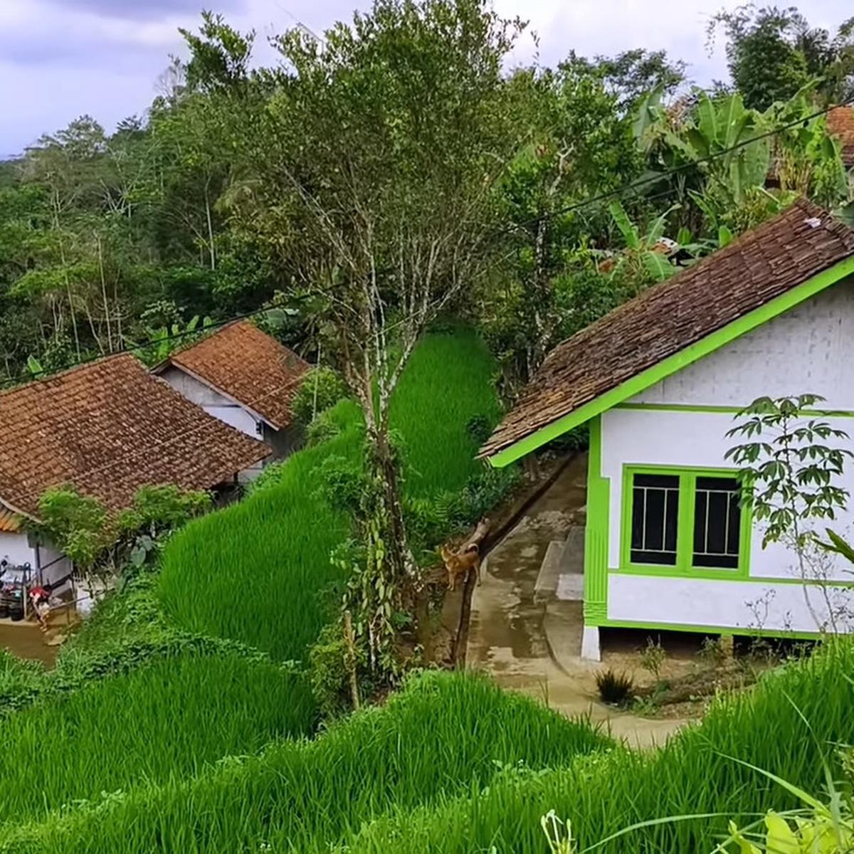 Warung Kopi di Kampung Terpencil Tasikmalaya Ini Suguhkan Pemandangan Sawah Hijau dan Bukit Berkabut