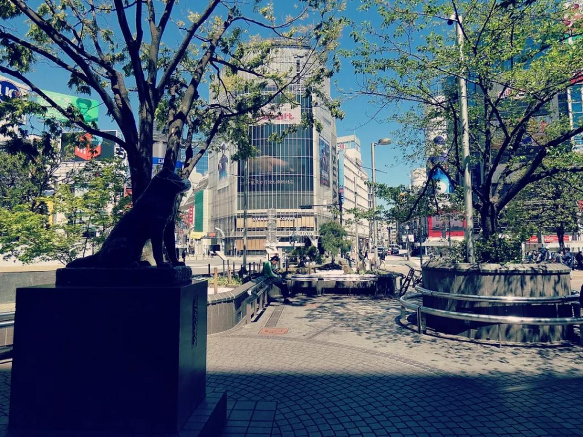 3. Berdiri Tepat di Depan Pintu Keluar Stasiun Shibuya