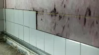 Cara Menghilangkan Jamur di Dinding Kamar Mandi hingga Tuntas