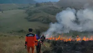 ​ 10 Hektare Savana Kawah Wurung Bondowoso Terbakar