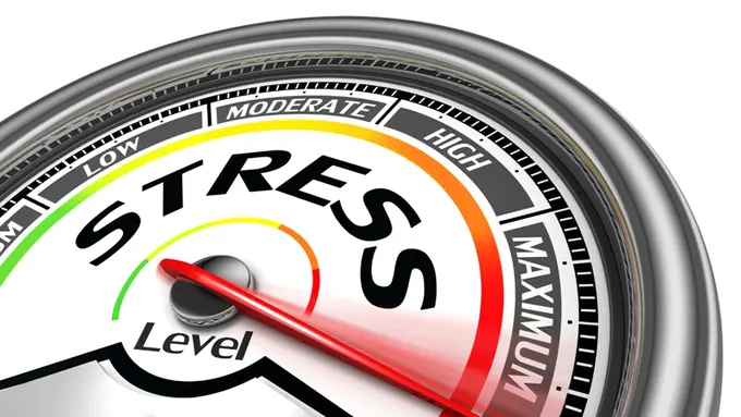 Punya 7 Tanda Ini? Artinya Kamu Stres Berat dan Butuh Piknik!