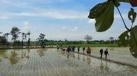 Puluhan pemuda di Desa Denai Lama, Kecamatan Pantai Labu, Kabupaten Deli Serdang, Sumatera Utara (Sumut) didorong menjadi petani berkarakter
