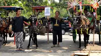 Ahok Larang Delman Beroperasi di Monas