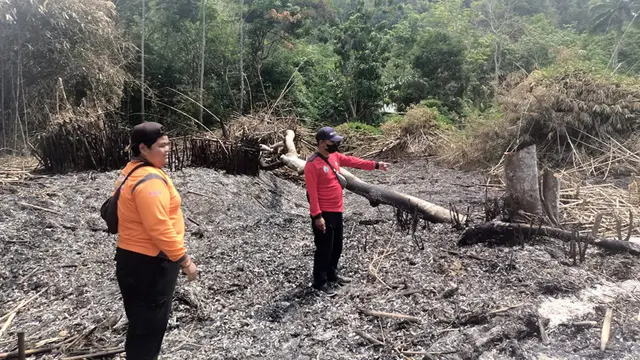 Karhutla Kalimantan Selatan Kalsel Liputan6.com