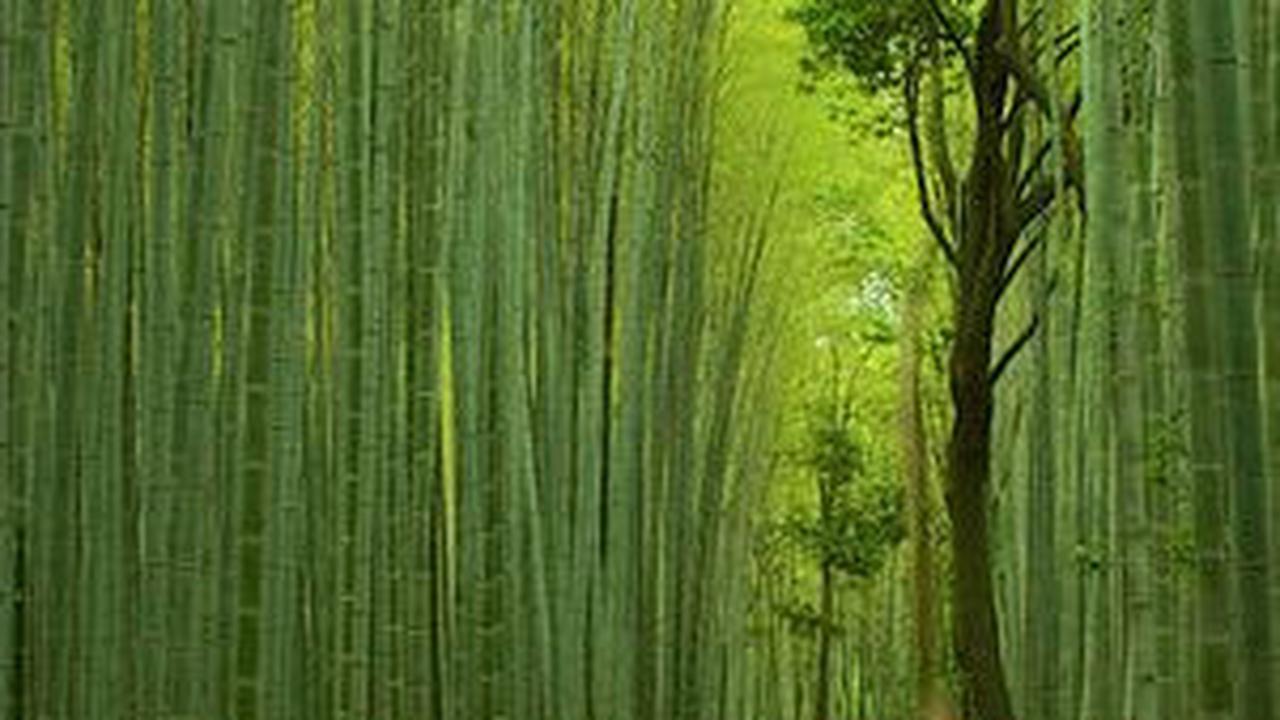 10 Wisata Jepang Paling Rekomendasi, Sajikan Beragam Keindahan Alam & Budaya