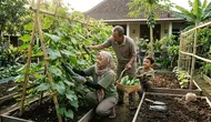 5 Cara Menanam Mentimun di Pekarangan agar Tumbuh Subur dan Berbuah Lebat