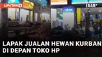 Momen lapak jualan hewan kurban berada di depan toko hp mengundang perhatian
