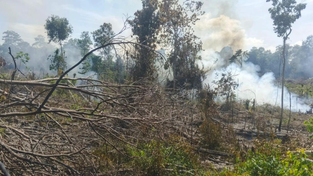 Tepergok Bakar Lahan untuk Buka Kebun, Petani di Musi Rawas Ditangkap Polisi