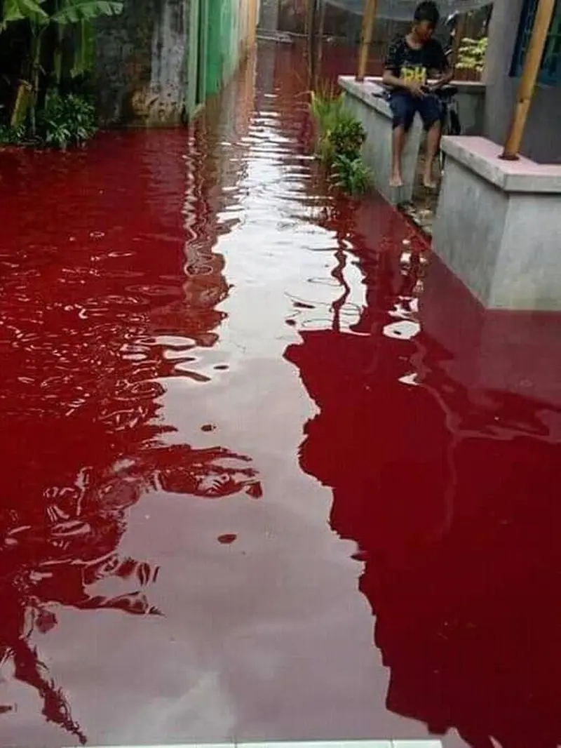 Air banjir berwarna merah, di Pekalongan. (Foto: Liputan6.co,/FB. Dudo Anak Limo)