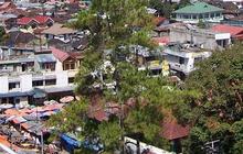 Sejarah di Balik Berdirinya Tugu Abel Tasman di Gunung Marapi Sumbar, Sosoknya Tewas saat Pendakian