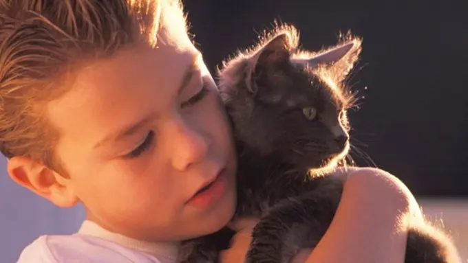 Photo: Copyright Thinkstockphotos.com