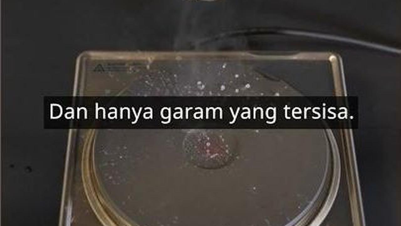 VIDEO: Tips Menyuling Air Laut yang Asin hingga Bisa Diminum, Begini Cara Mudahnya!