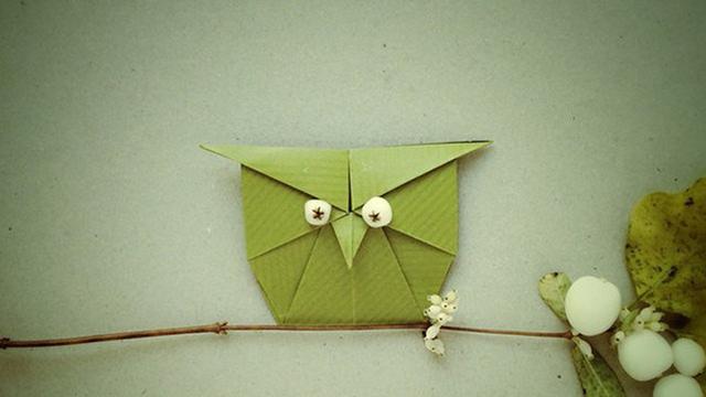 1070+ Gambar Burung Hantu Dari Origami Gratis Terbaik