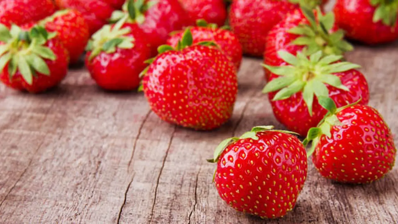 Foto: copyright Shutterstock