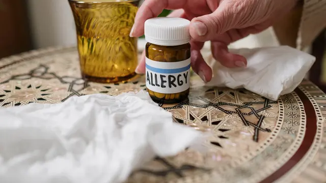 Redakan Alergi Lebih Cepat Agar Tetap Produktif Menjalani Keseharian