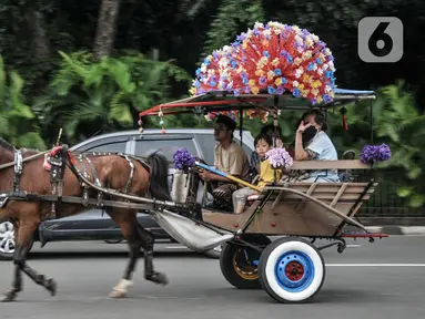 Kusir delman saat mengangkut wisatawan berkeliling kawasan Monumen Nasional (Monas), Jakarta Pusat, Minggu (8/1/2023). Pemkot Jakarta Pusat berencana melarang delman beroperasi di kawasan Monas karena kotoran kuda yang berceceran di jalan dinilai menimbulkan bau tak sedap. Plt Wakil Wali Kota Administrasi Jakarta Pusat Iqbal mengatakan pihaknya bakal membentuk gugus tugas merealisasikan kebijakan tersebut. (merdeka.com/Iqbal S. Nugroho)