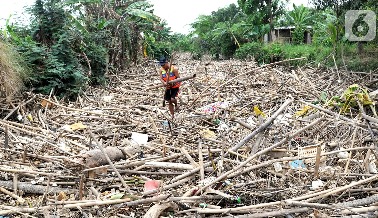 Petugas gabungan membersihkan tumpukan sampah yang menyumbat aliran air Sungai Cikeas di kawasan Bendung Koja Jatiasih, Bekasi, Jawa Barat, Rabu (16/10/2019). Pembersihan sekitar 1.200 meter kubik sampah bambu tersebut diperkirakan menghabiskan waktu dua minggu. (merdeka.com/Arie Basuki)