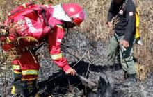 1,6 Hektare Vegetasi Rinjani Terbakar
