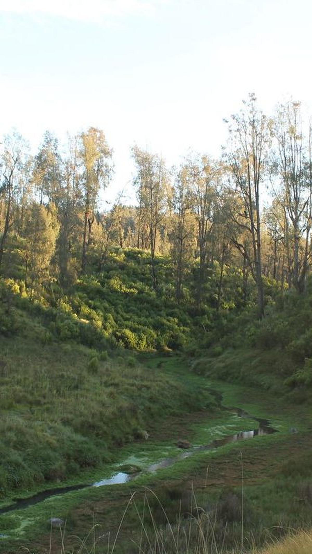 2. Gunung Argopuro Memiliki Sejarah Sebagai Bagian Kerajaan di Masa Lampau<br>