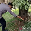 Benda Diduga Mortir Ditemukan di TMII, Gegana Turun Tangan