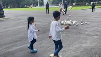 Cucu Jokowi, Jan Ethes dan Sedah Mirah bermain bersama puluhan burung dara di pelataran Istana Jakarta. (Instagram @jokowi)