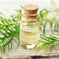 ilustrasi tea tree essential oil/freepik