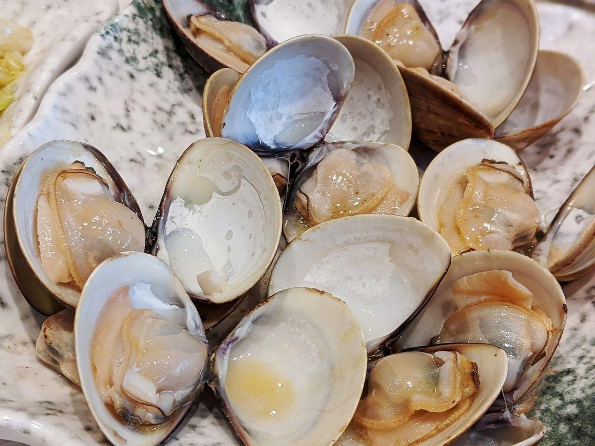4. Kerang Tiram