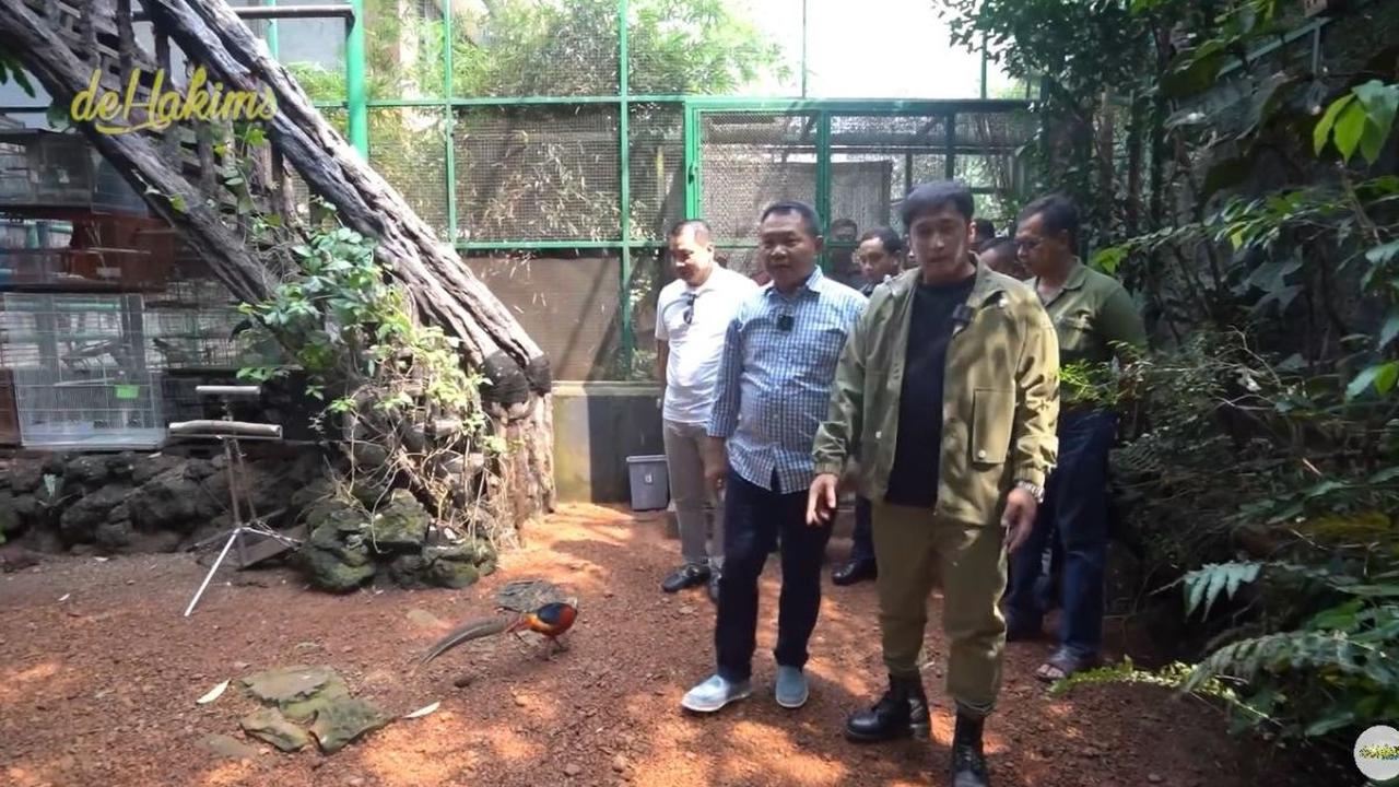 Ajak Melihat Aviary