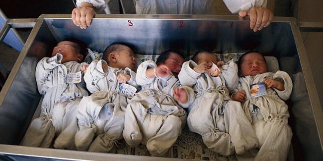 Bayi-bayi mungil yang dijual Zhang (c) dailymail.co.uk