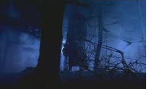 710 Gambar Hantu Jeruk Nipis HD