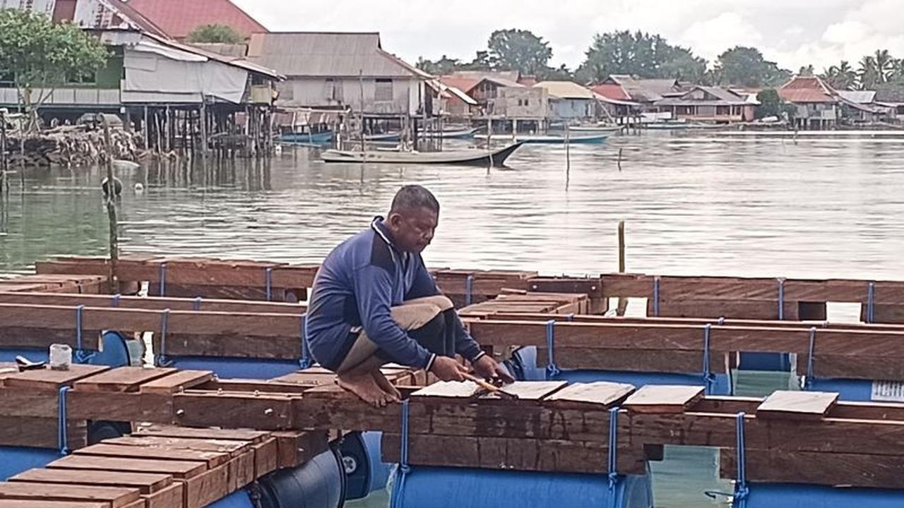 IPB University Kembangkan Konsep Sea Farming Berbasis Adat di Wakatobi untuk Ekonomi Berkelanjutan
