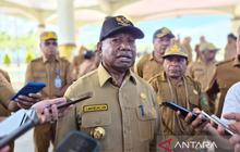 Gubernur Papua Barat Soroti Kinerja Satpol PP Pascapencurian Patung Kasuari