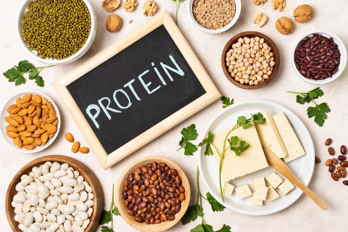 Ilustrasi Protein Nabati