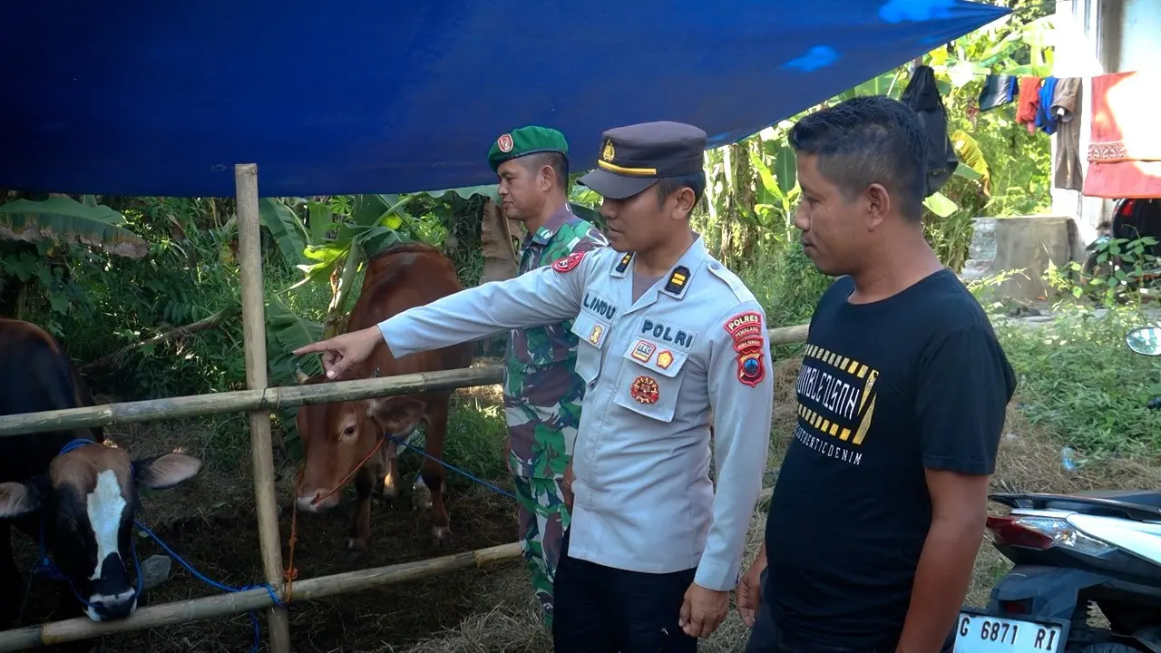 Waspada pencurian hewan kurban jelang Idul Adha. (Foto: Liputan6.com/Polres Pemalang)